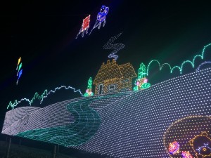 IMG_0686
